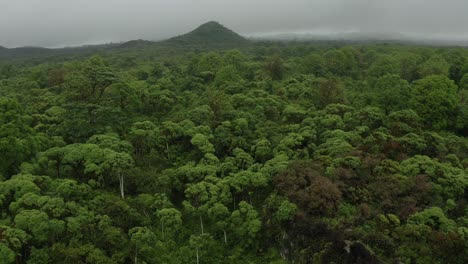 Galapagos-Island-drone-Jungle-Rainforest-aerial-Nature