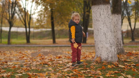 carefree and happy childhood of little funny boy playing with yellow leave in autumn park at walking joyful toddler is having fun