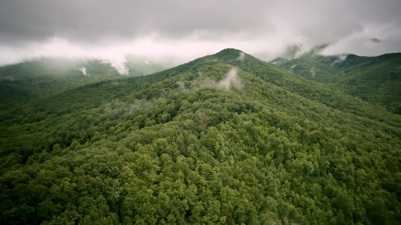 Drone shot drifting over a fog-wrapped valley in the Smoky Mountains