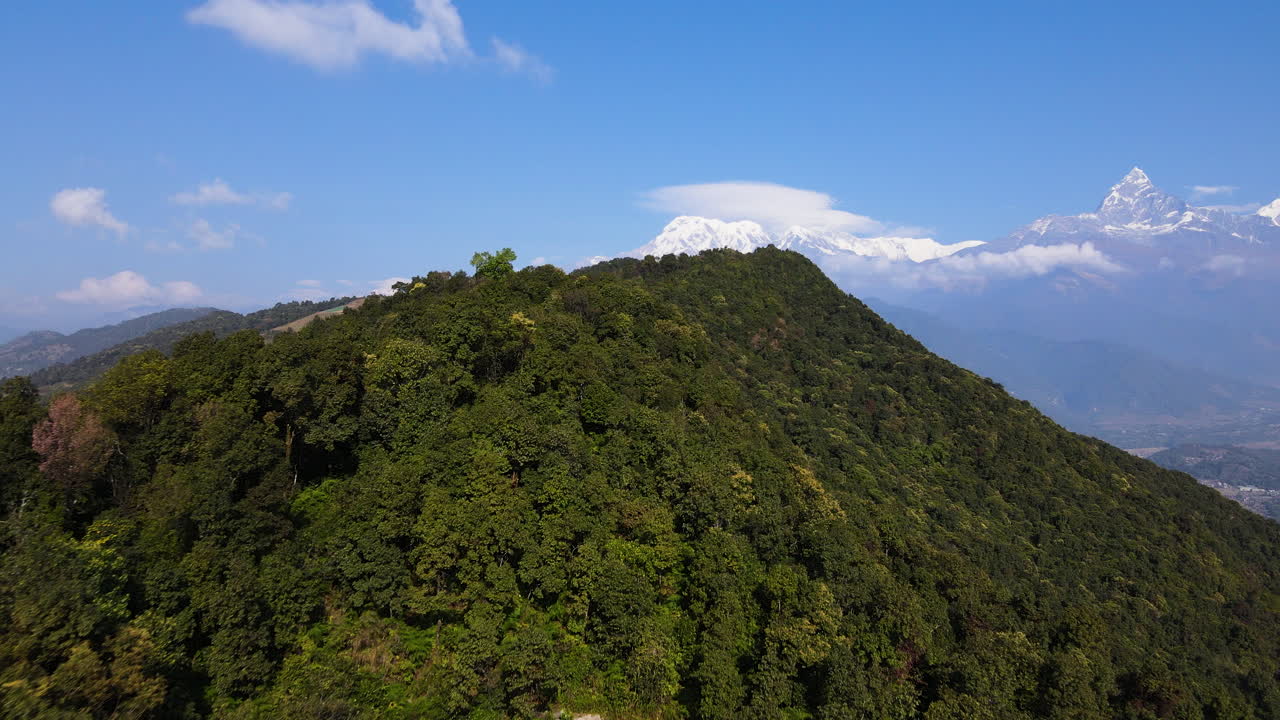 selva tropical densamente cubierta en las montañas cerca de pokhara en nepal, asia del sur