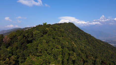 tropical rainforest densely covered in mountains near pokhara in nepal, south asia