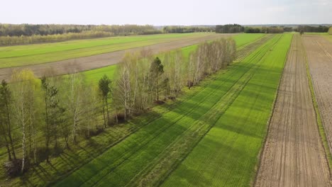 Drobe-fly-above-agricultural-land-during-warm-sunshine