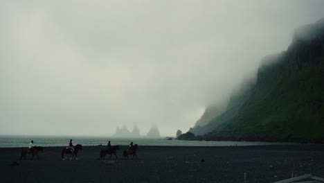 horses running in slowmotion across black sand beach, in a foggy day in vik, iceland