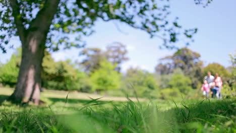 Low-angle-view-of-a-family-skipping-together-through-grass