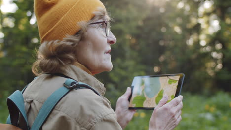 senior woman using tablet for navigation in forest