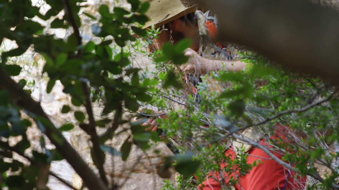 Mountaineers walking through the forest 4k