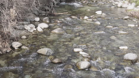 a clean fresh water river running through a dry forest in catalonia