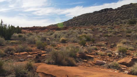 A-moving-shot-showing-the-arid,-desert-landscape-with-various-types-of-desert-vegetation-at-Wupatki-National-Monument-in-Arizona