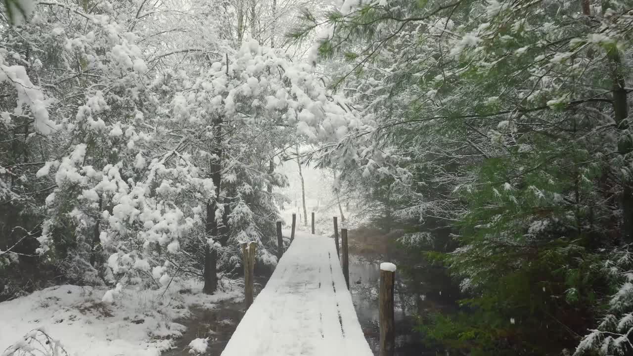 Snowy Forest Path with Wooden Bridge
