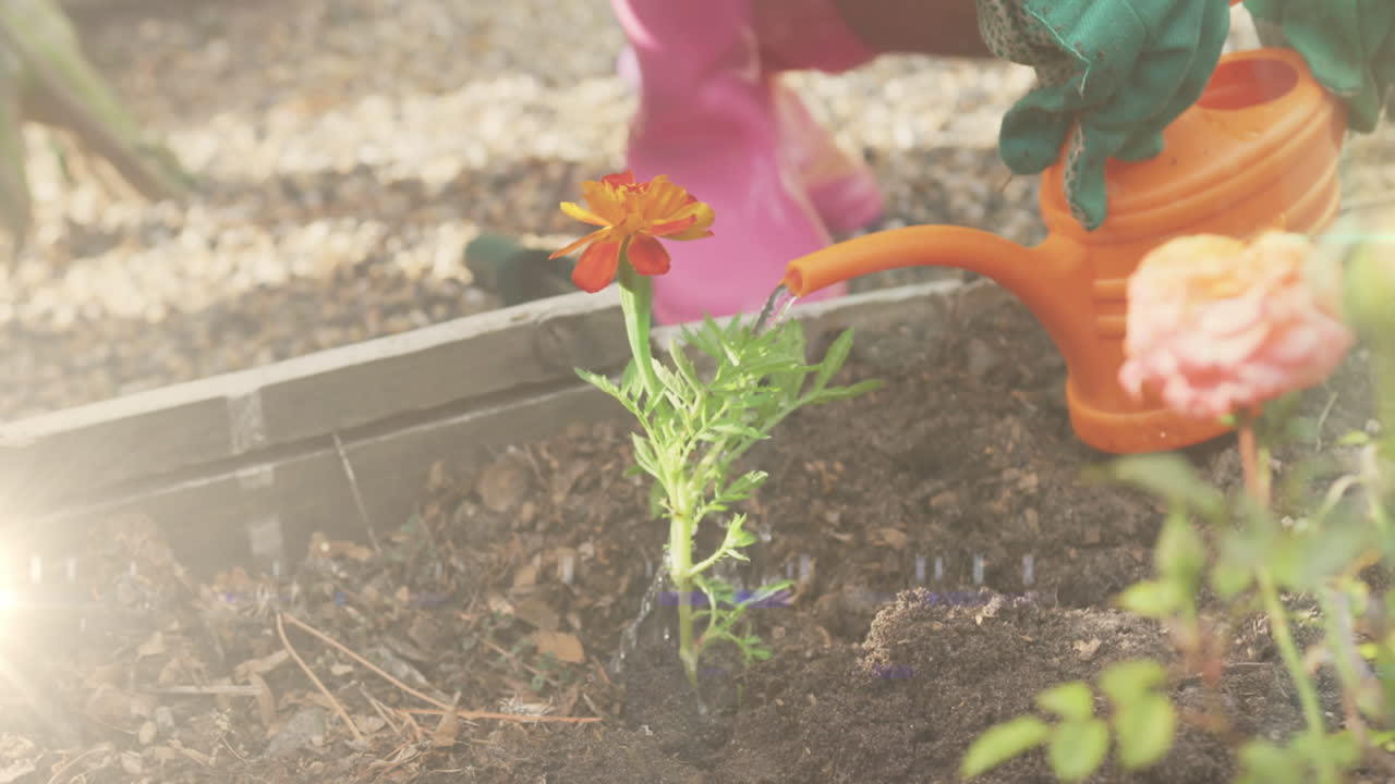 video de luces y senderos sobre una mujer biracial regando el jardín