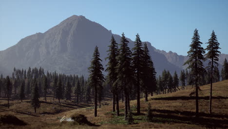 Luftaufnahme-Der-Kanadischen-Rocky-Mountains