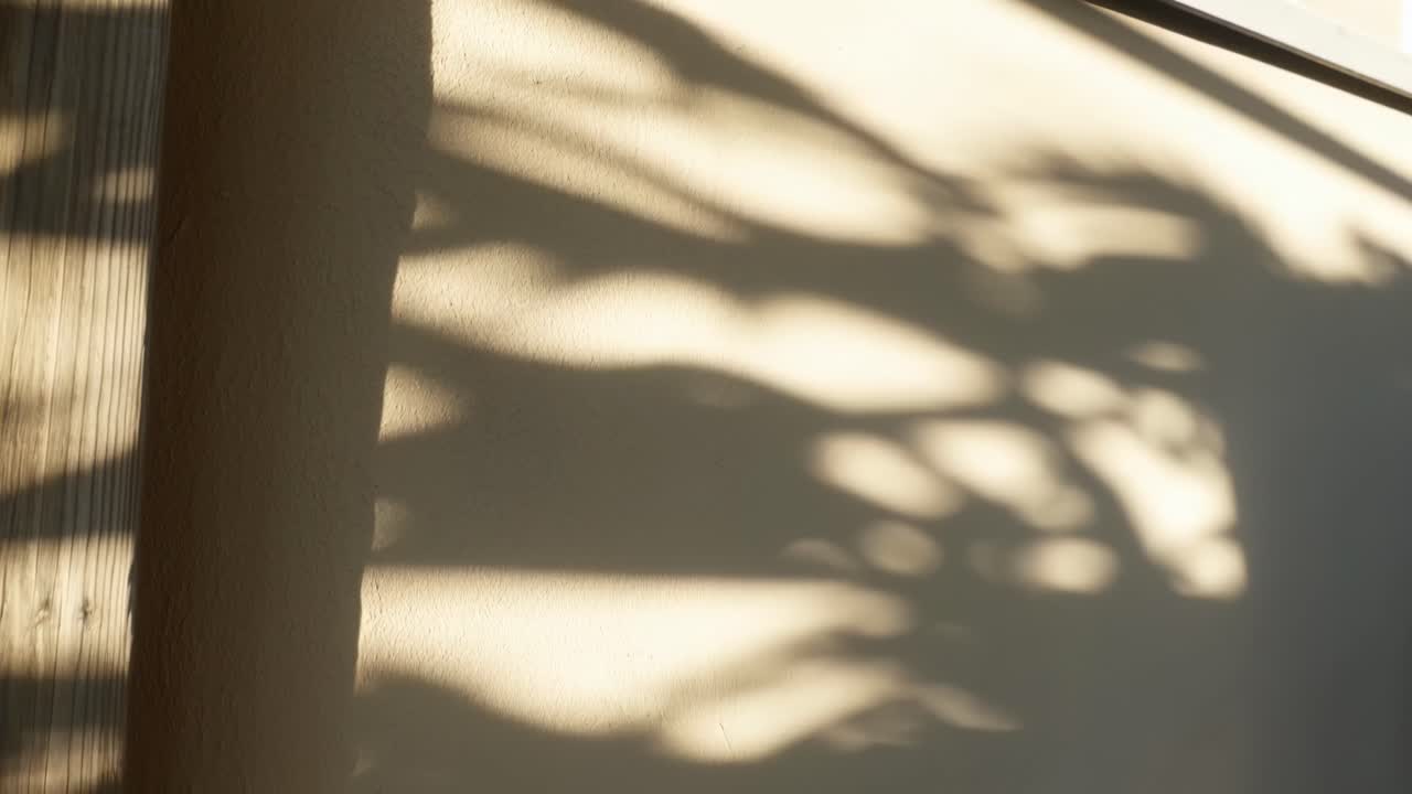 Abstract shadows on a wall, captured in a video with a low-angle perspective