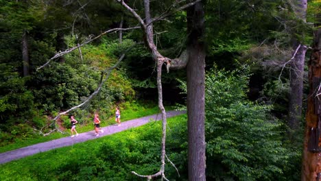 runners running around trout lake off blue ridge parkway