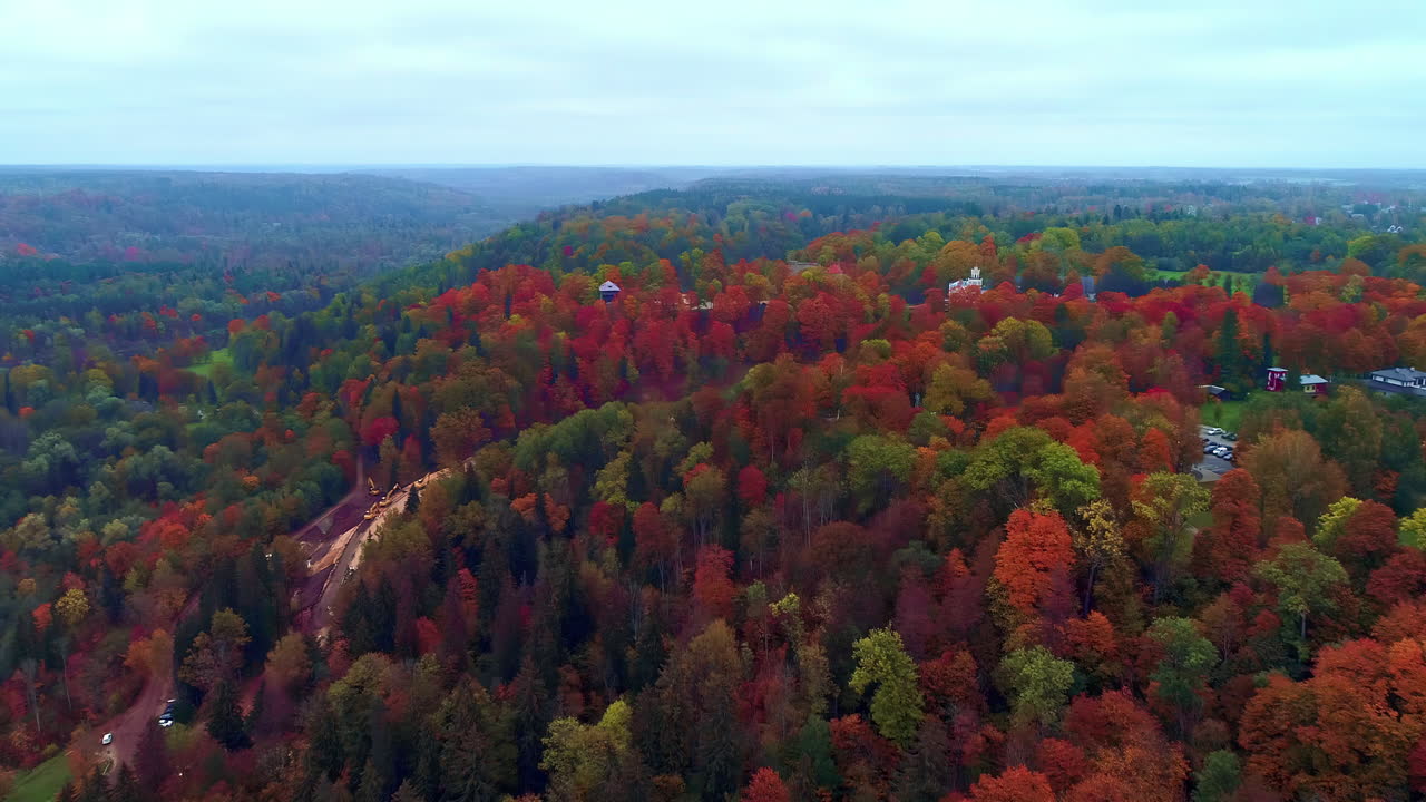 Bird's eye view over a hilly forest landscape in full autumn colors