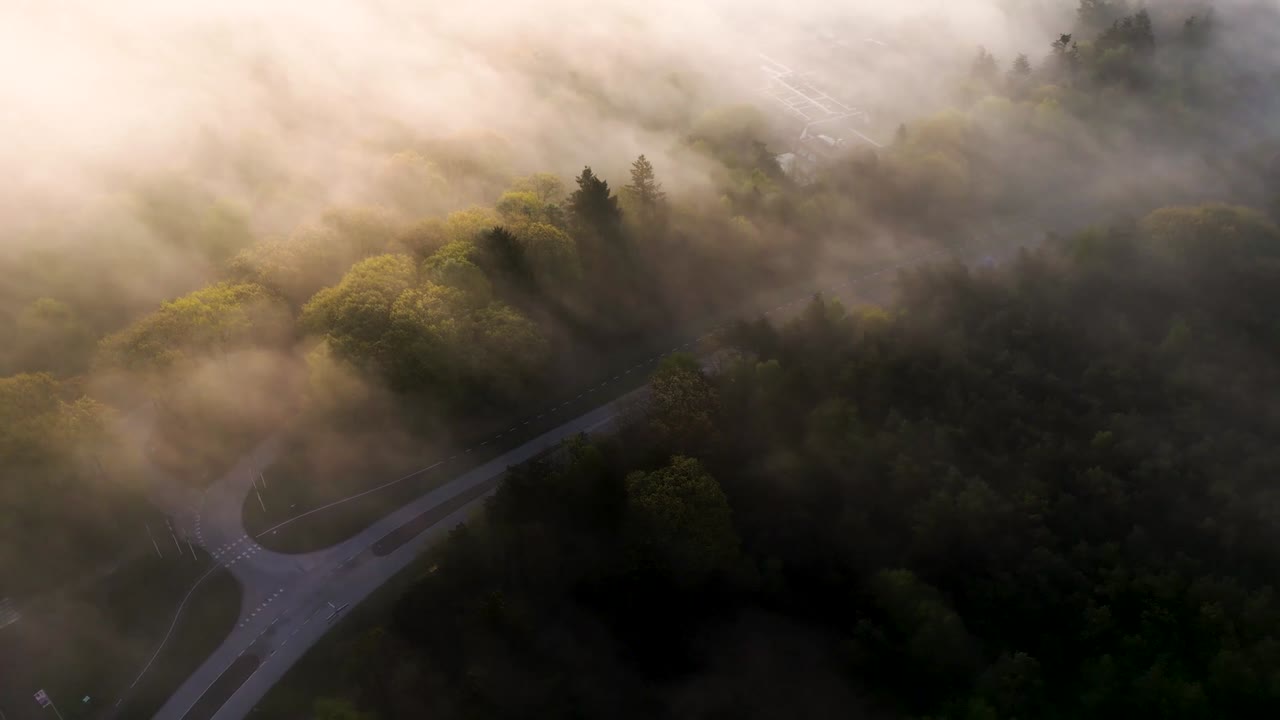 Luftfoto af skovvej dækket af tæt morgentåge, hvor sollyset filtrerer gennem trækronerne i Veluwe-regionen og viser et fredfyldt naturlandskab indhyllet i en gylden, tåget atmosfære