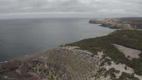 video de drones de acantilados a lo largo de la costa en la isla kangaroo, australia del sur