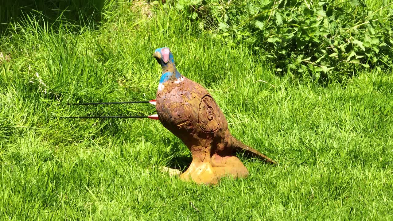 Archery hitting wooden pheasant with bow and arrow, shooting target practice, closeup