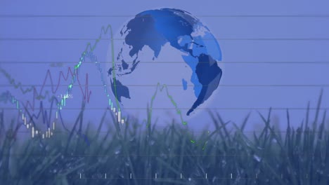 Animation-of-financial-data-processing-over-spinning-globe-against-grass