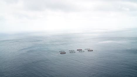4k fish industry fences in form of circles on calm ocean surface