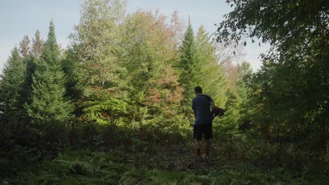 Landscaper using string trimmer on hillside (4k 30p)