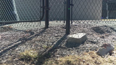 base of a backyard fence in an alley