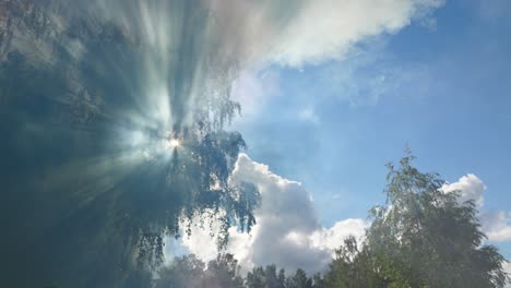 sunbeams through clouds and trees