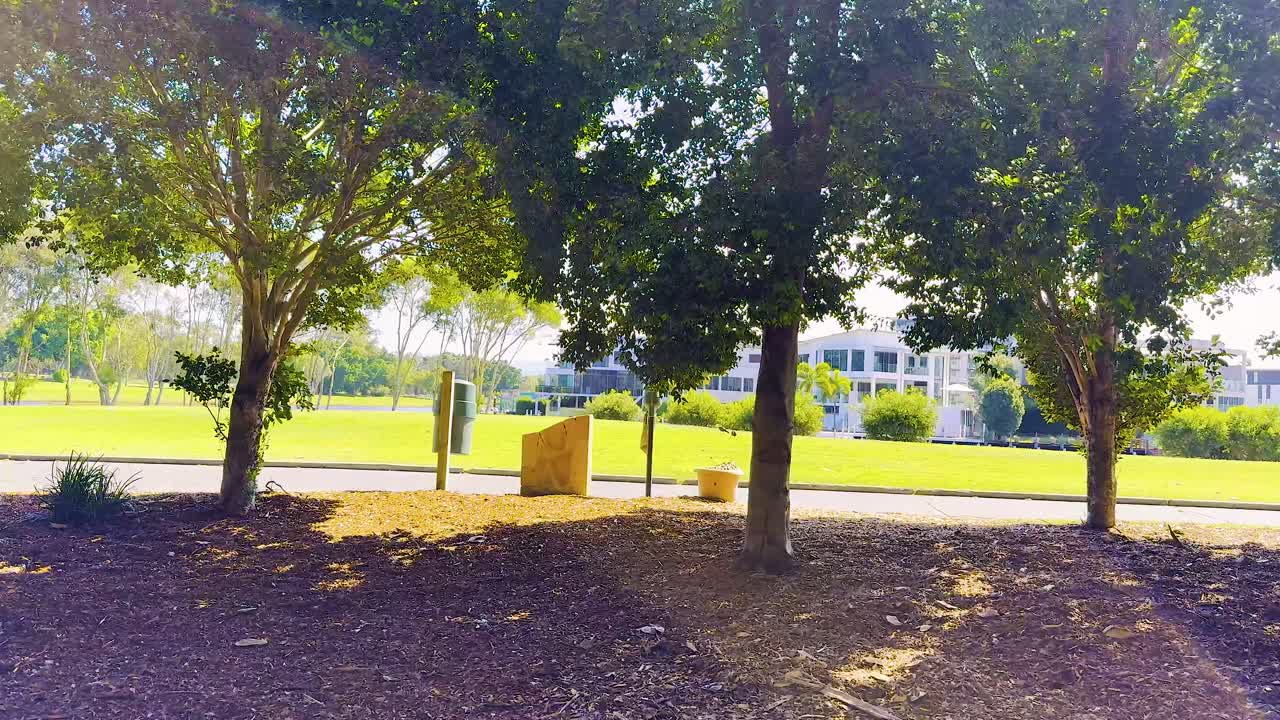 평화로운 공원 환경에서 나무와 벤치