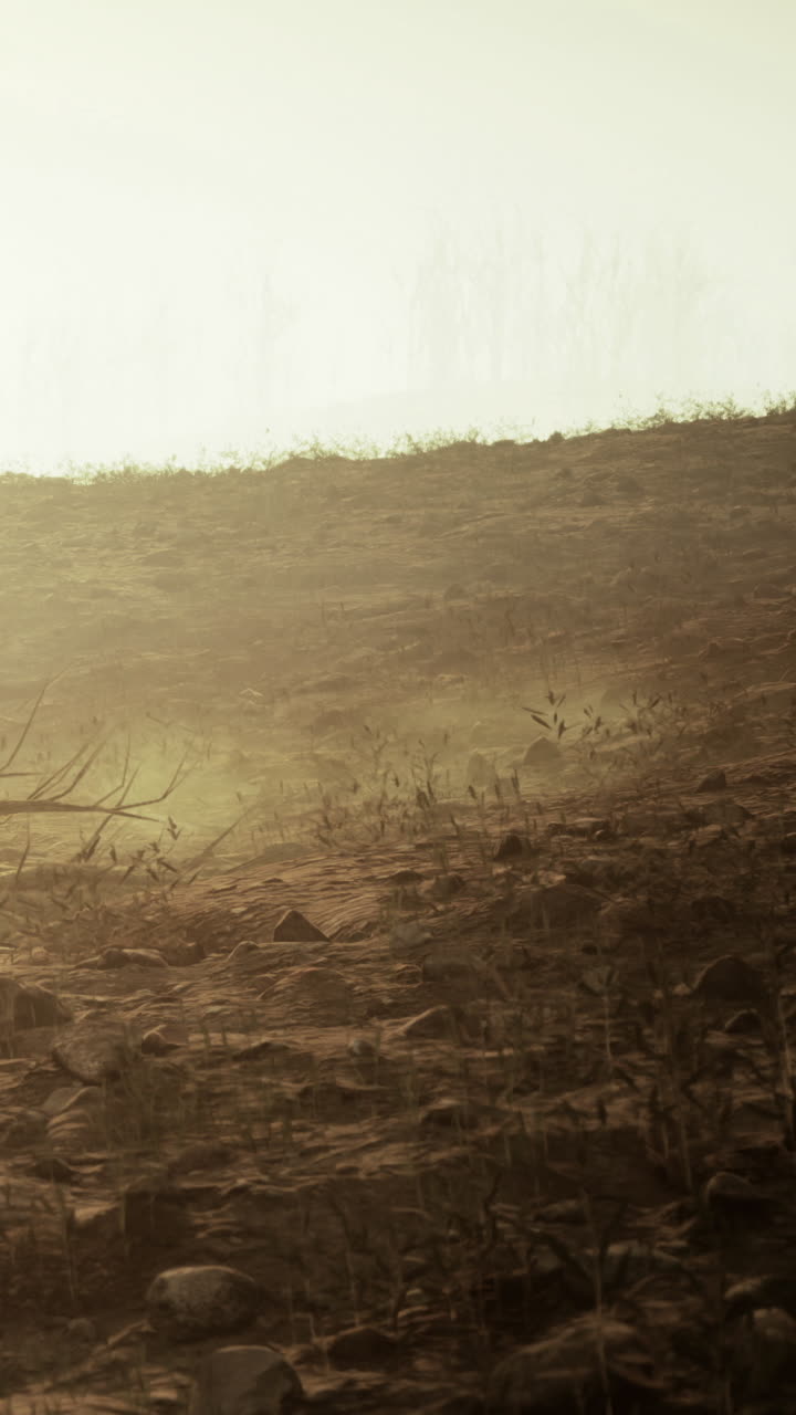 Sunset over dry land with sparse vegetation and distant hills