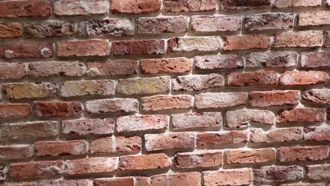 Red Brick pared