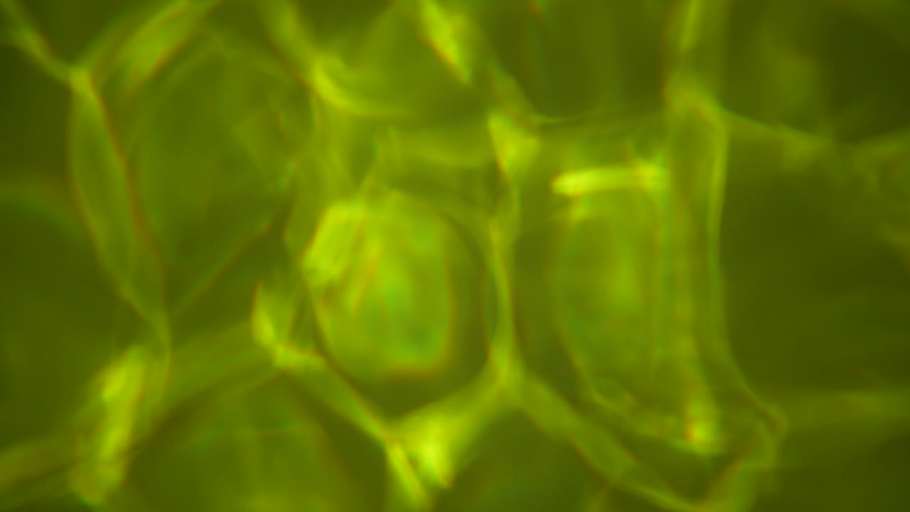 agua o veneno y fondo cáustico ligero tóxico