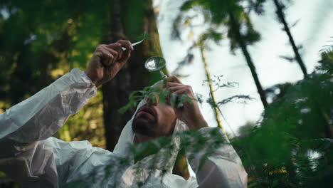 el biólogo estudia botánica en la montaña.