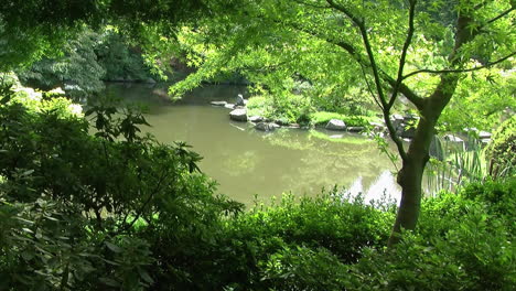 View-of-a-pond-through-trees-and-greenery-in-a-Japanese-garden