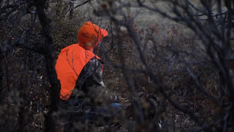 hunter in orange waits in the brush for an animal