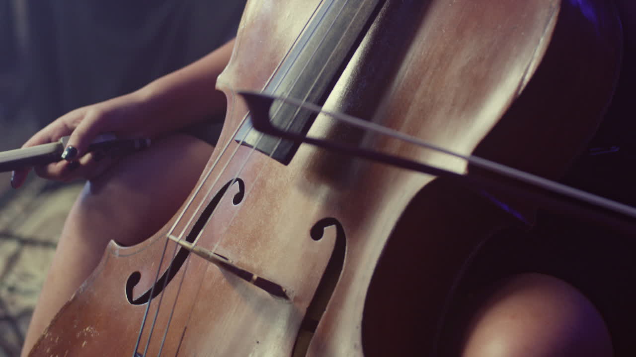 ⁇ 로 연주자  ⁇ 로 연주자 클래식 악기