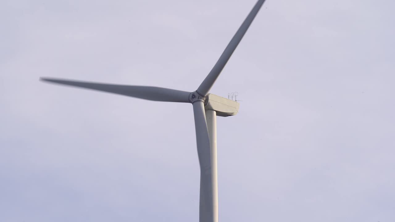 gismarvik 노르웨이의 회전하는 풍력 터빈에 가까워지는 새 - 재생 가능한 전기를 생산하는 에너콘 풍력 터빈의 정적 근접 촬영