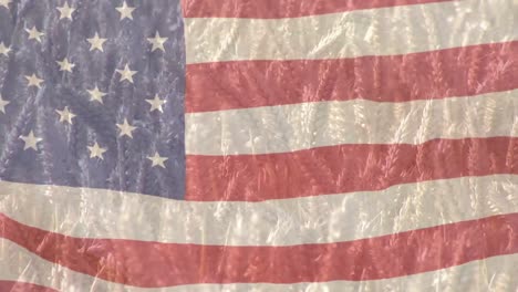 Digital-composition-of-waving-american-flag-against-close-up-of-crops-in-farm-field