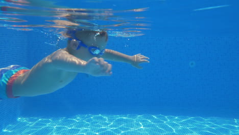 family leisure in the swimming pool