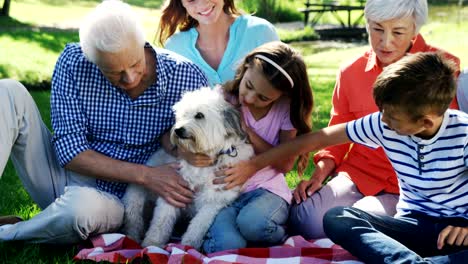 multi-generation family playing with their dog in the park