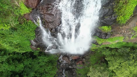 water from a rainforest stream rushes over a sheer rock cliff creating a spectacular waterfall