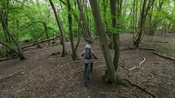 Drone che segue una mountain bike attraverso la foresta, mentre una grande mandria di cervi attraversa l'inquadratura.