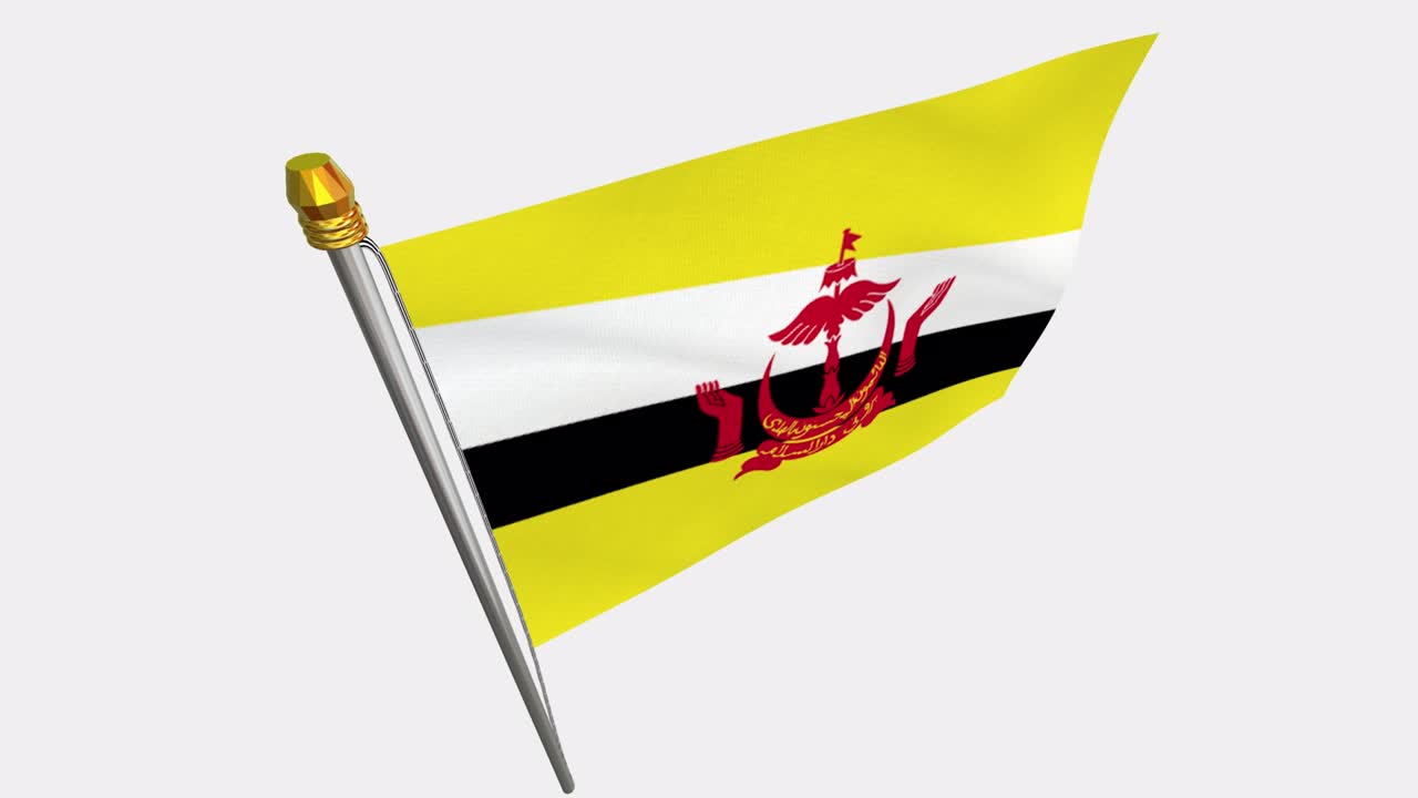 브루나이 발이 바람에 날아다니는 4k 슬로우 모션 비디오, 알파 채널