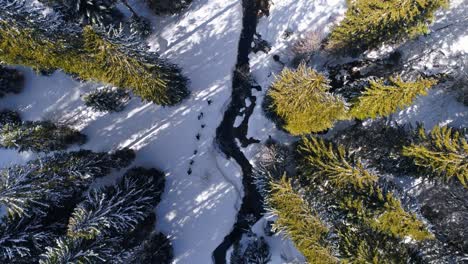 Antenne-Von-Oben-Nach-Unten-Der-Wandergruppe,-Die-An-Kalten-Wintertagen-Mit-Sonnenlicht-Auf-Einem-Verschneiten-Pfad-Neben-Dem-Bach-Spazieren-Geht