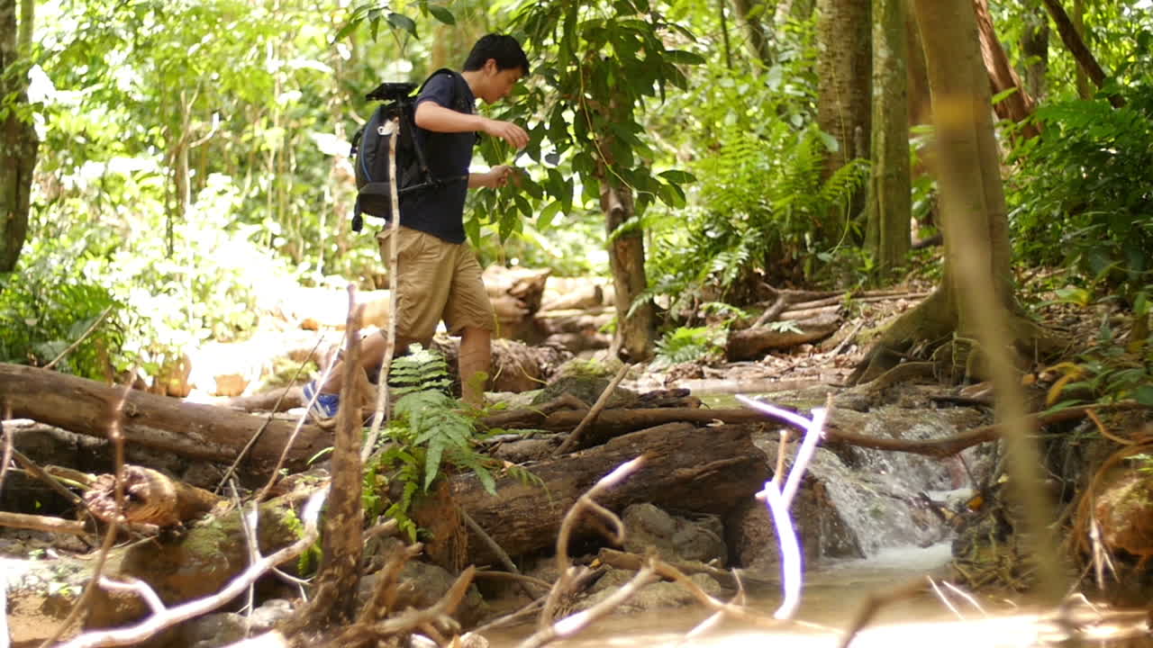 Person Hiking Through a Forest Stream