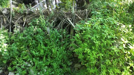 Fliegen-Sie-Mit-Einer-Drohne-über-Den-Im-Morgengrauen-Erleuchteten-See-Europas-Und-Fangen-Sie-Eine-Ruhige-Lagune,-Einen-üppigen-Wald,-Eine-Elegante-Brücke,-Einen-Biberdamm-Und-Einen-Malerischen-Damm-Ein,-Der-Eine-Faszinierende-Vogelperspektive-Und-Einen-Blick-Aus-Der-Luft-Bietet