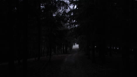 flying through a dark forest path with snow-covered trees during a thick fog