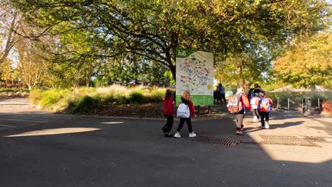 group of kids exploring melbourne zoo together