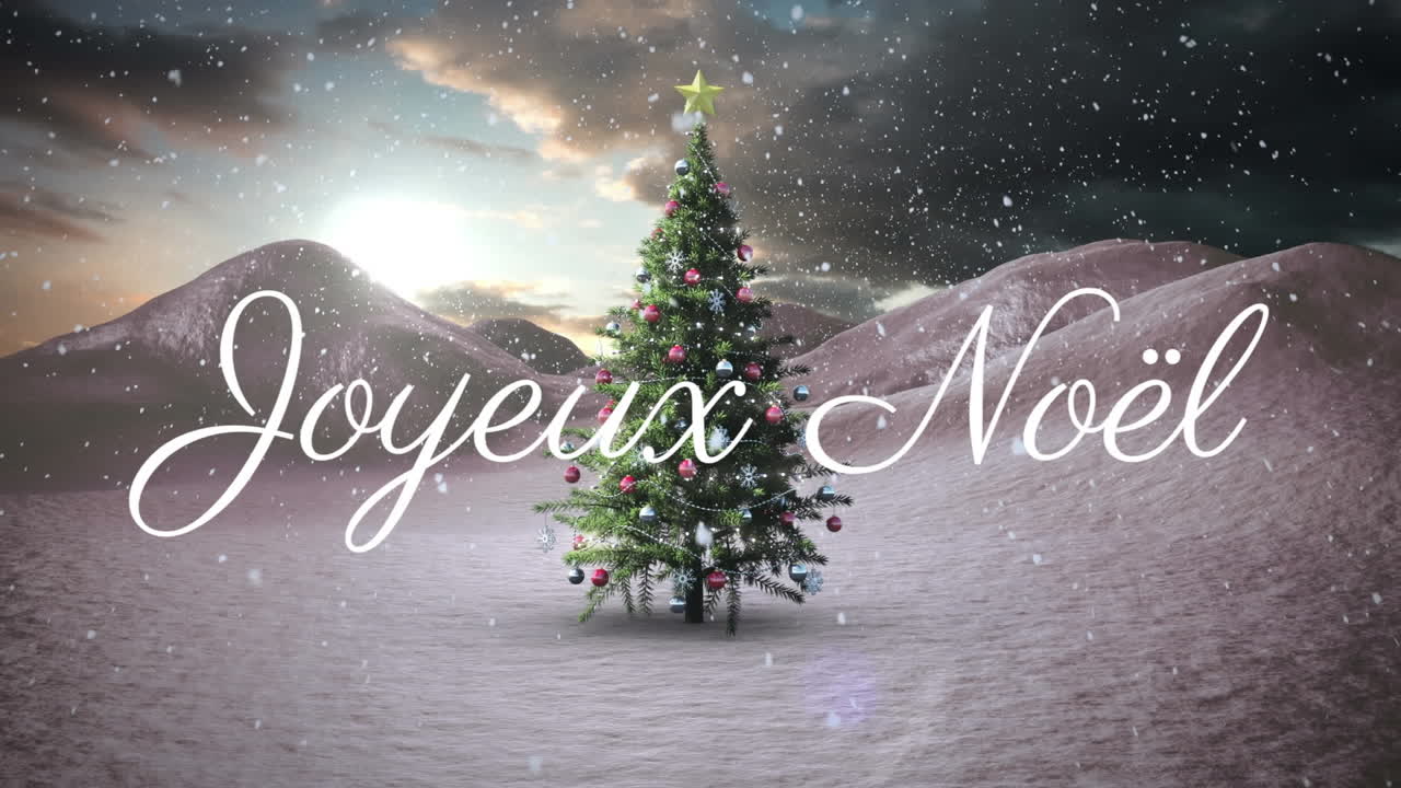Animazione del testo "Joyeux Noël" su albero di Natale e neve che cade su paesaggio invernale