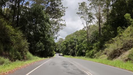 un coche viaja a lo largo de un camino de bosque sinuoso