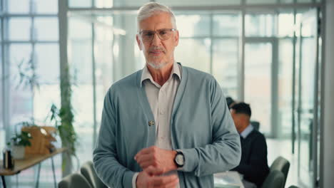 senior businessman in office