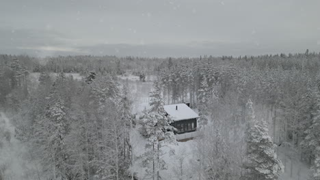 aerial view of solitary cabin in snowy forest